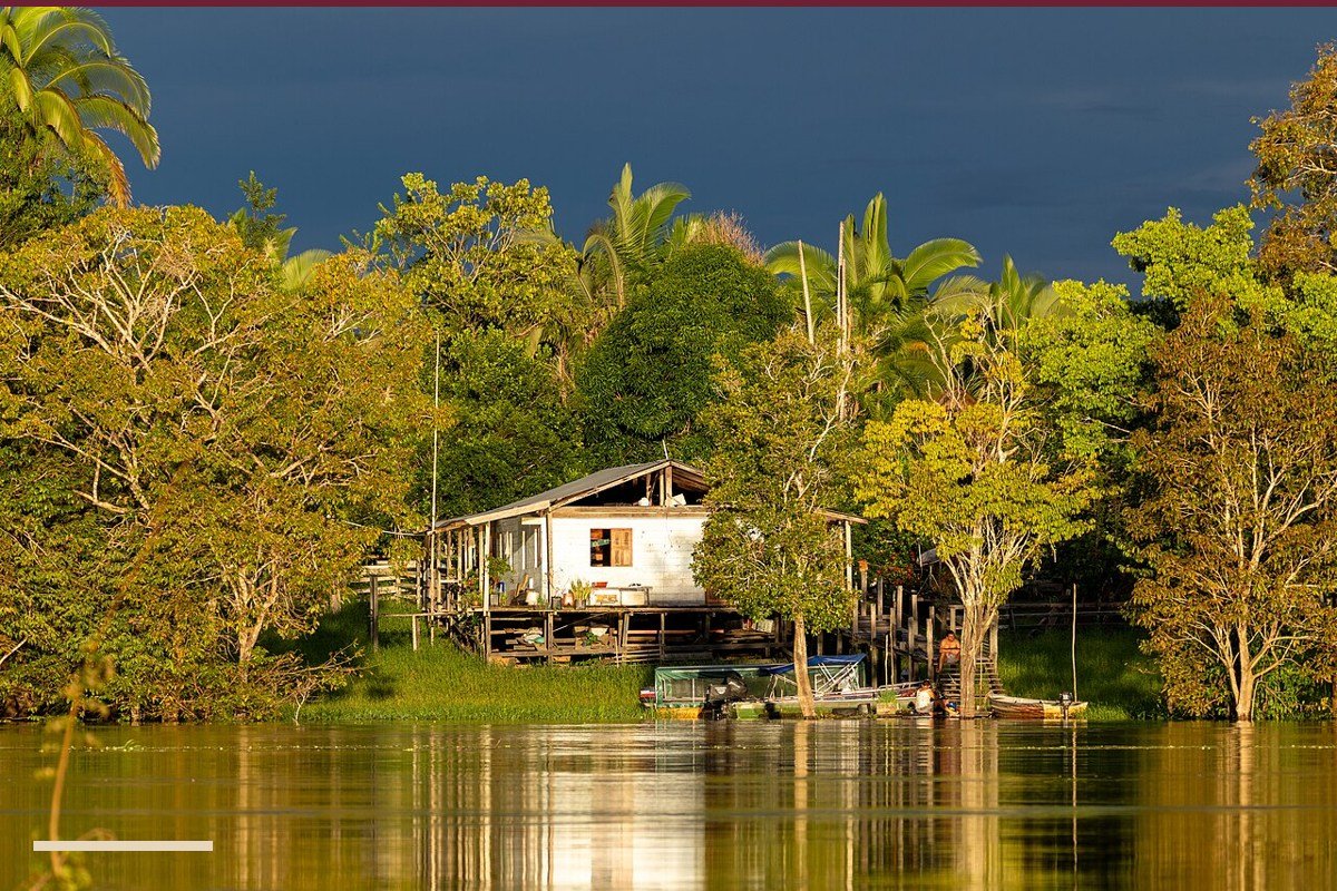 Paisagem amazônica em fotografia de arquivo de maio de 2026