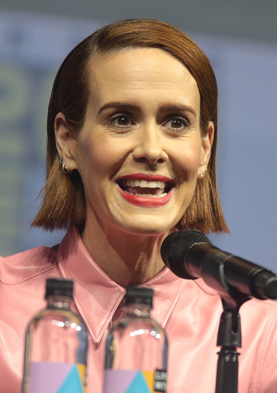 Sarah Paulson falando na San Diego Comic-Con, em julho de 2018; foto de arquivo, não é cena da temporada atual.